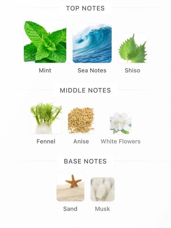 27 87 Wandervogel - Picture 3 of 3